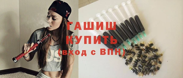 индика Богданович