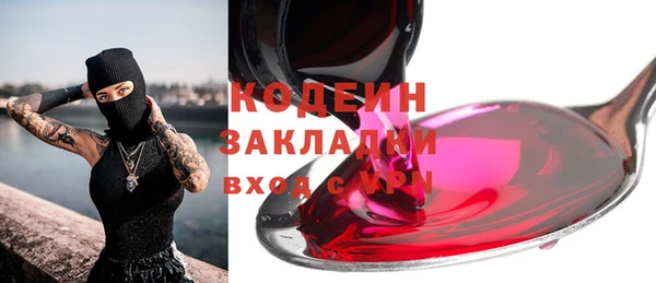 индика Богданович