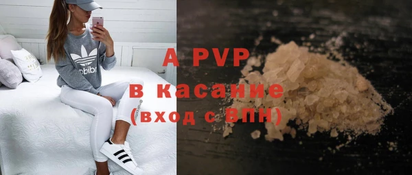 индика Богданович