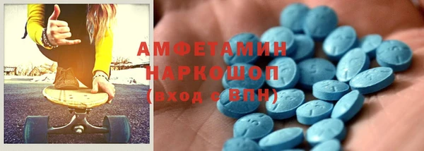 индика Богданович