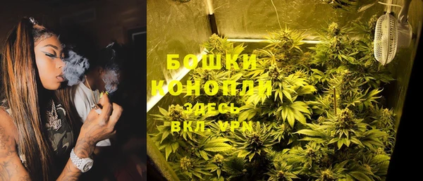 СК Богородицк
