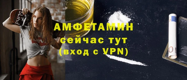 индика Богданович