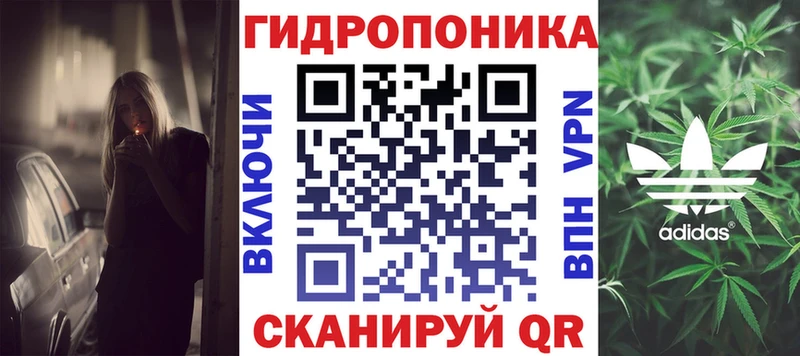 blacksprut как войти  Свободный  Конопля план 